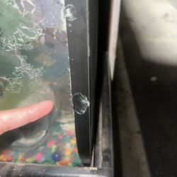 Fish Tank With Stand 