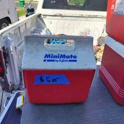 Coolers 9 Quarts And 4 Quarts 