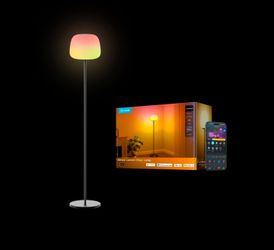 Govee Lantern Floor Lamp