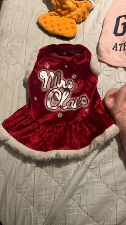 Doggy clothes