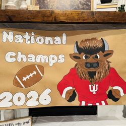 Hand Painted Banners