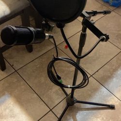 Microphone And Stand 