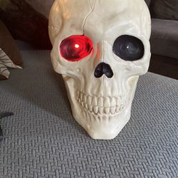 Skeleton  Head 