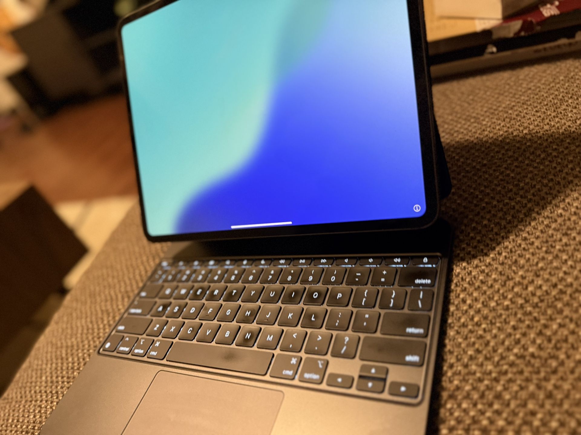 iPad Pro 13 M4 (WiFi + Cellular)