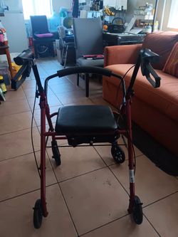 Walker/chair