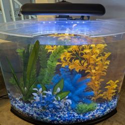 Aquarium Total Set Up