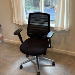 Branch Ergonomic Chair