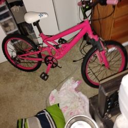 Girls Bike Custom Paint 7 Gears