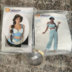 Princess Jasmine Halloween Costume
