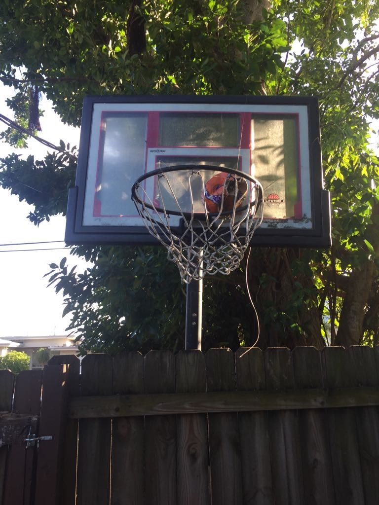 Black basketball hoop excellent condition!