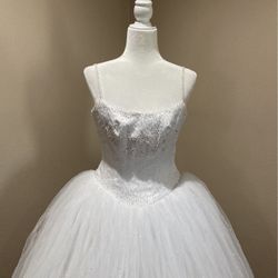 Quinceañera/Wedding Dress