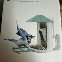 Netvue Birdfy Feeder