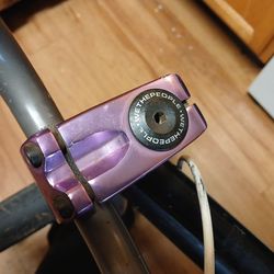 We the people 20 inch