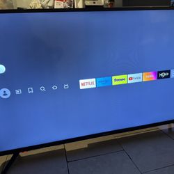 55” TV