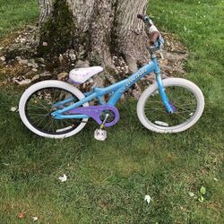20” Schwinn Kids Bike 