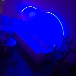 Floor Lamp (Arched)