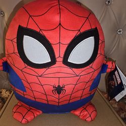 Spider Man Pillow!!