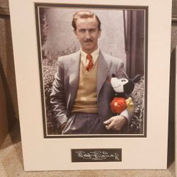 5 Walt Disney Prints 