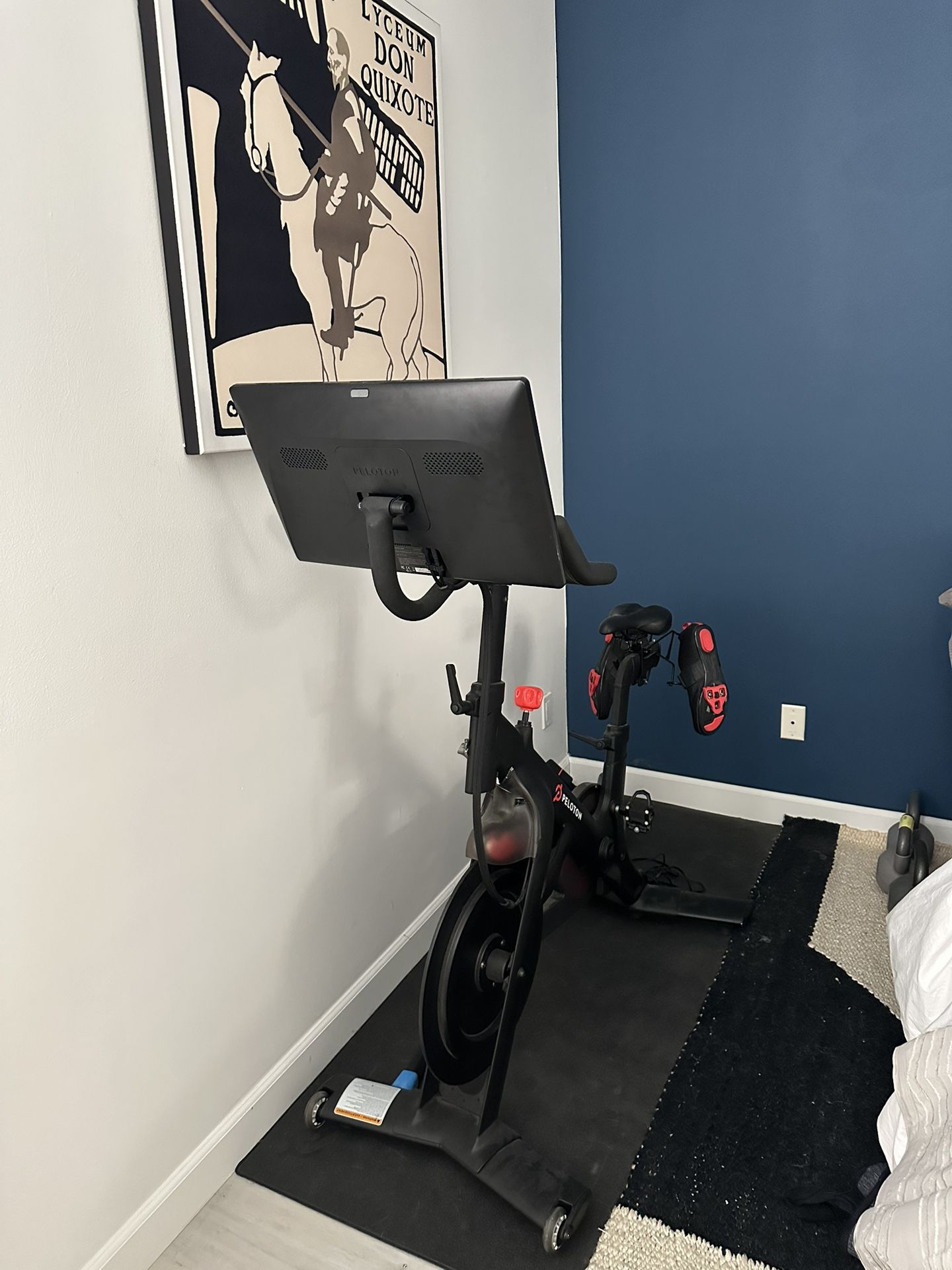 Peloton Bike (with Shoes, Yoga blocks, weights)