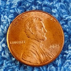 2025 PENNY 