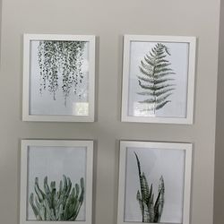 Plant Wall Hanging Picture Decor Set of 6 8” X 10” Picture Frames and Pictures