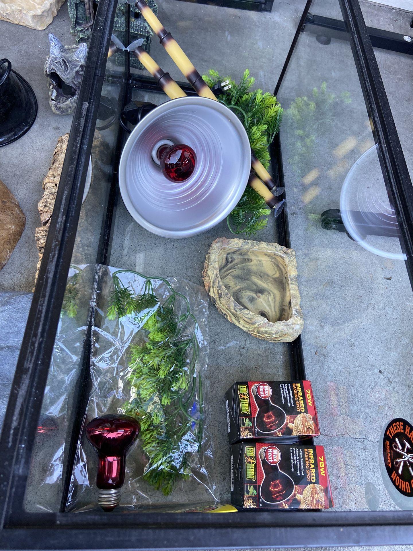 Reptile Terrarium Tank