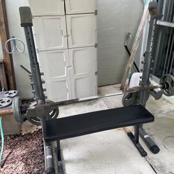 Olympic Weight Rack, Bench, And Weights