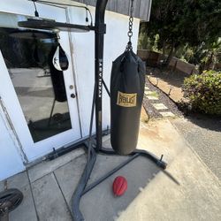  Everlast Dual 2-Station Heavy Bag Stand