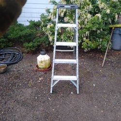 Step Ladder