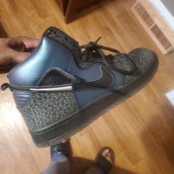Nike Sb Dunk Black Hornet