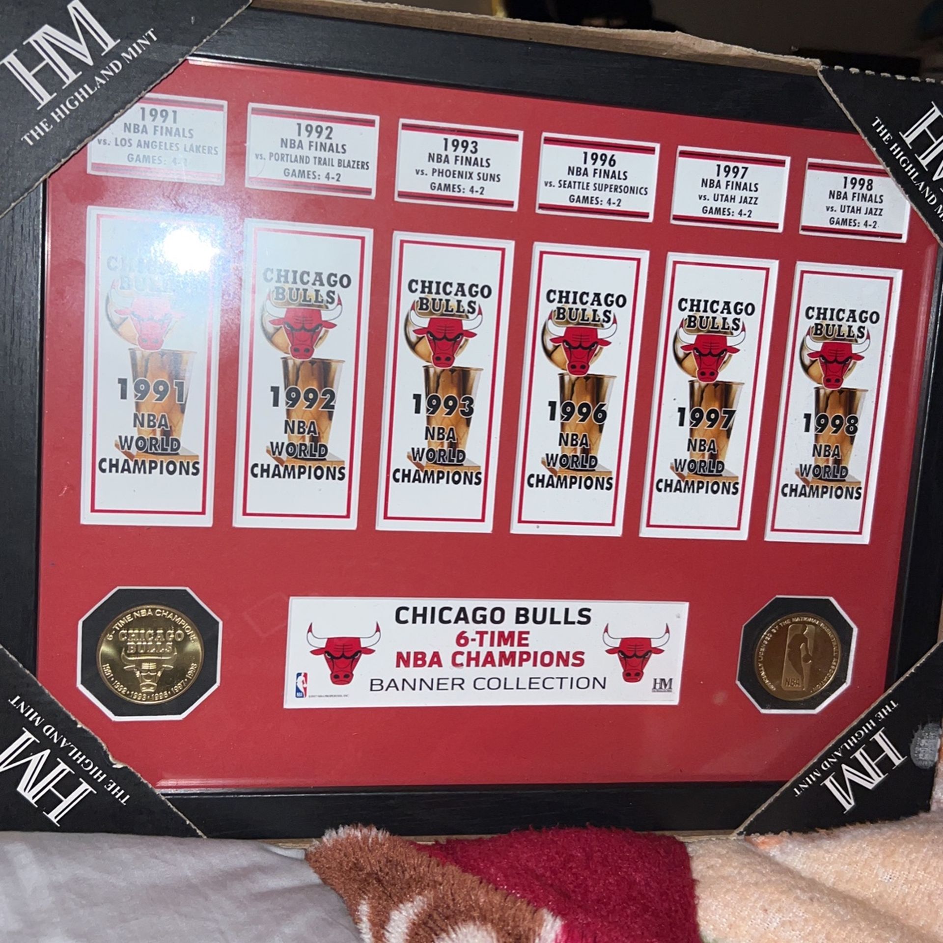 Chicago Bulls 6 Time NBA Champions Banner Collection