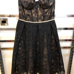 Nadine Merabi Olivia Black & Nude Occasional Dress