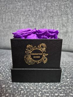Forever Purple Flowers