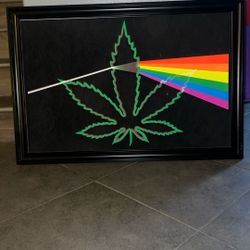 Framed Blacklight Poster 