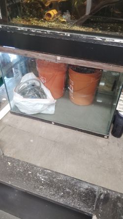 Fish tank