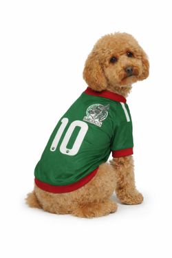 Mexico jersey 2026