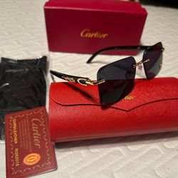 DESIGNER SUNGLASSES (READ THE DESCRIPTION 