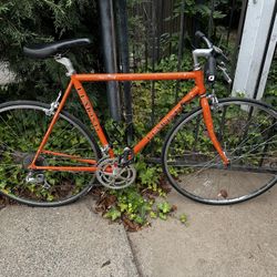 Lemond Alpe‑d’Huez (Custom Built)