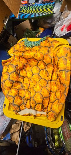 Pineapple Halloween Costume