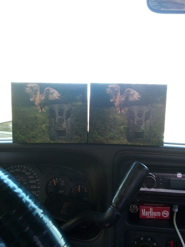 Game Camera's And Night vision.