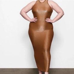 Skims Shimmer Dress