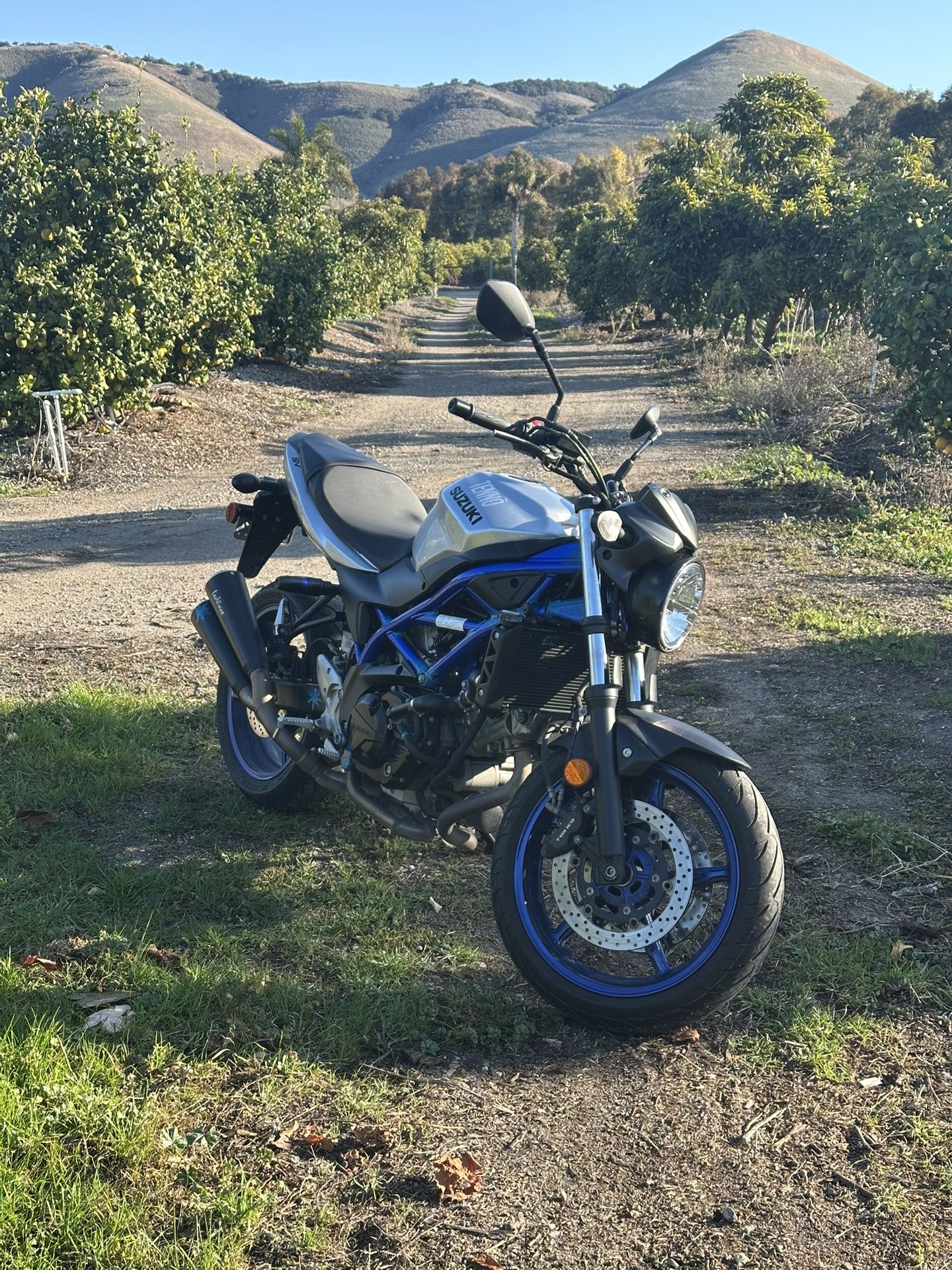 2020 Suzuki SV650 V-Twin