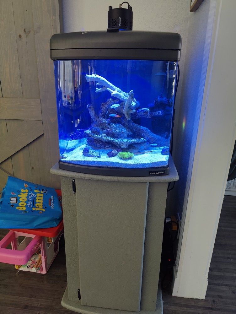 Jbj 28 Nano Cube With Stand 