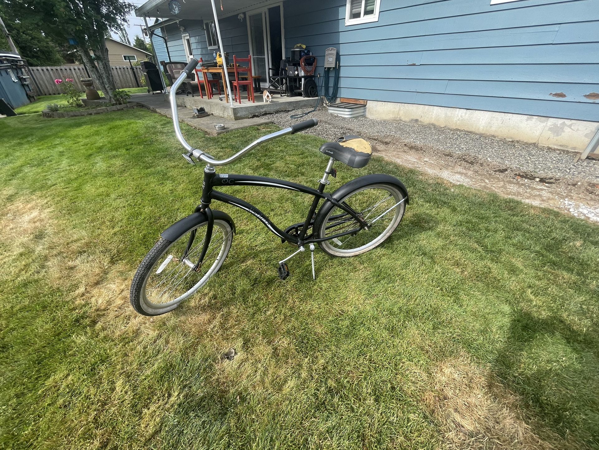 Beach Cruiser