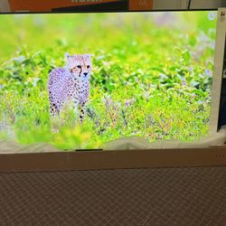 85 Tv Free Delivery $55 Down On Financing Six Month Warranty 85 Tv Samsung Q 60 Smart 4K Hdtv