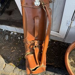 Vintage Golf Bag