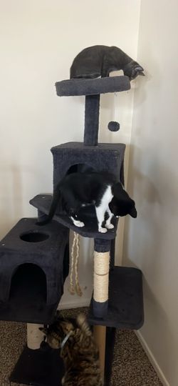 Large Multi-Level Cat Tree Tower