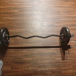 Ez Curl Bar And Weights