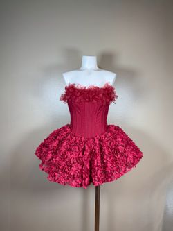 Party Rose Dress