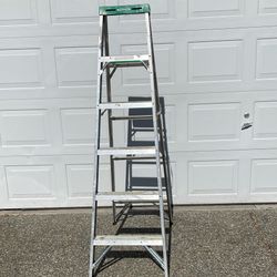 Werner 6’ 225 lbs Ladder Very Steady $40